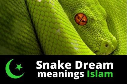 islam snakes in dreams|green snake in dream islam.